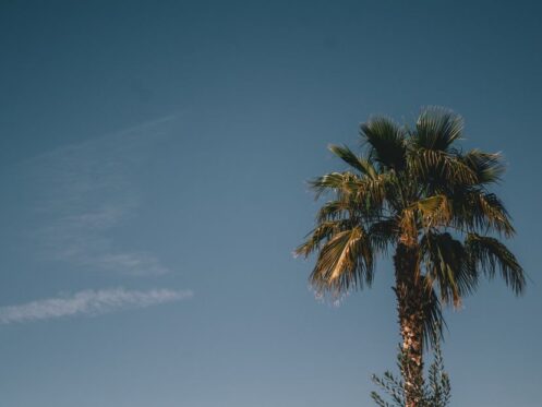 hot summer day in Glendale AZ with bright sun and a residential home